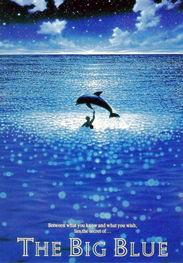 碧海蓝天 在线观看,在线畅享海洋生态之美  第1张