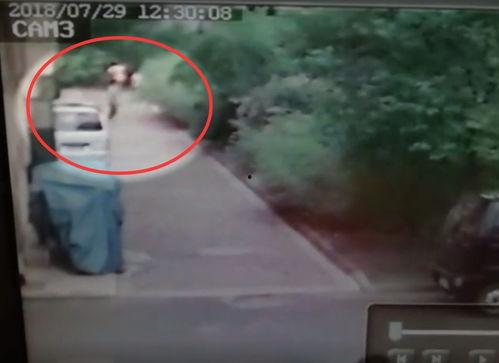 青岛女子爆料视频最新,揭露惊人真相! 第3张 青岛女子爆料视频最新,揭露惊人真相! 第3张